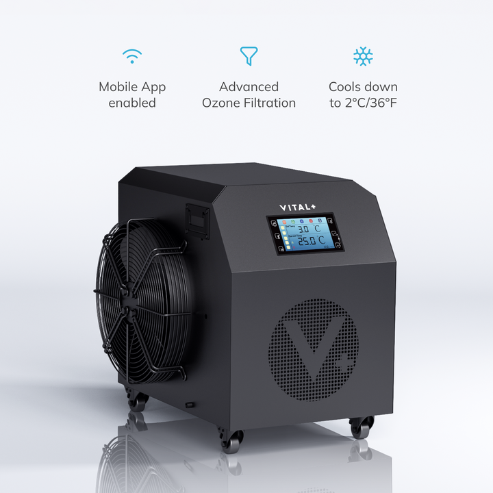 Product
      image