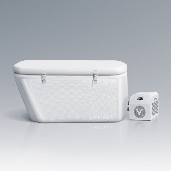 Arctic White